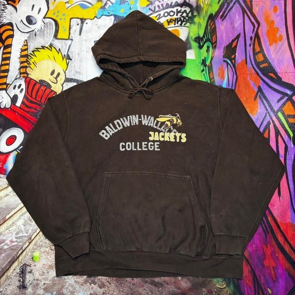 Y2K Vintage Baldwin Wallace College Jackets Hoodie Brown XXL